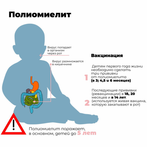 Профилактика полиомиелита Профилактика полиомиелита.